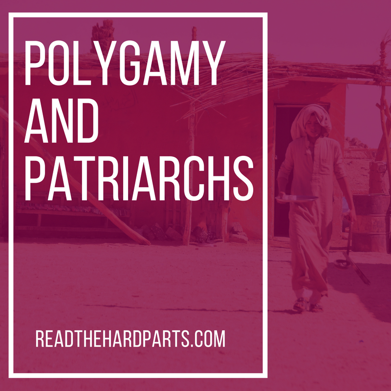 Polygamy And Patriarchs: Godly Men In The Bible And Their Many Wives ...